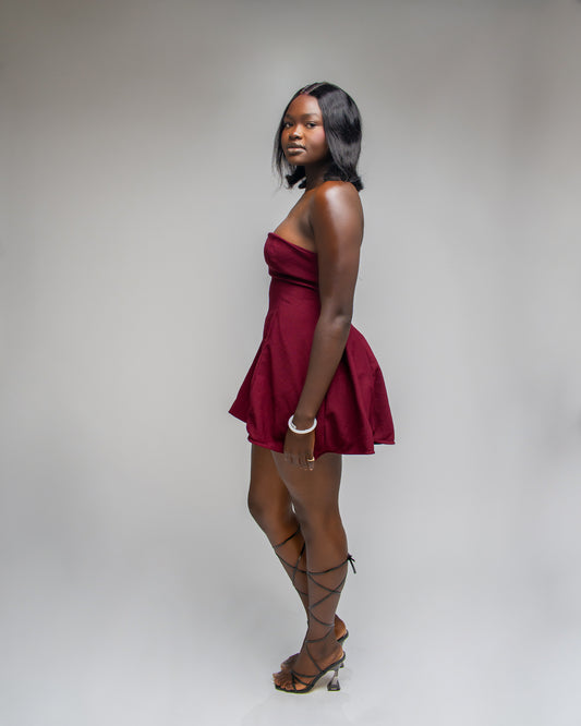 Wine toned wonder mini dress